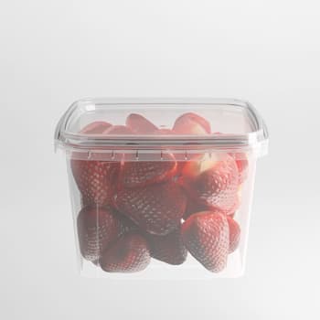Elfe Plastik 16 oz Square Tamper Evident Container, Clear
